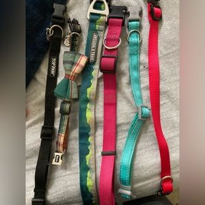 Pet items